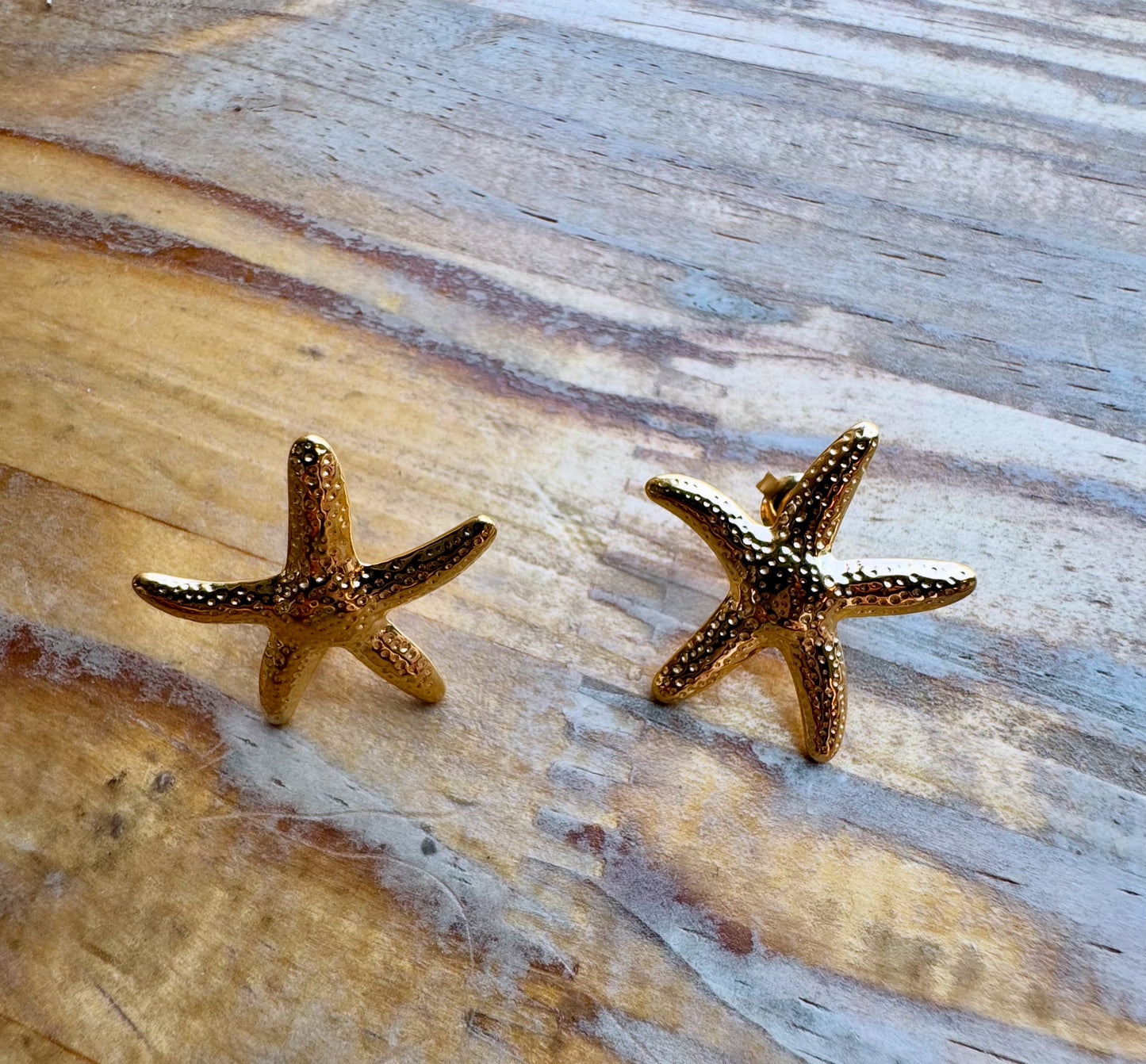 Aretes estrella de mar