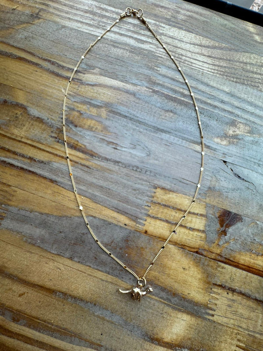 Collar de Dinosaurio