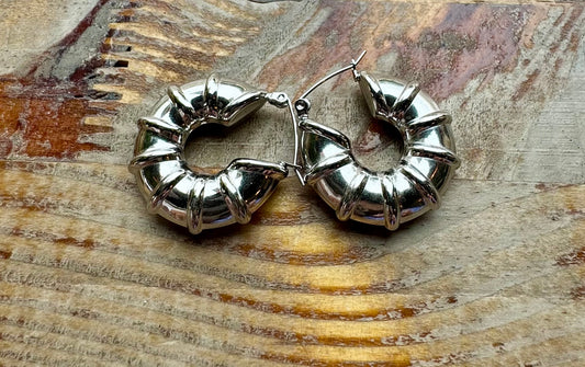 Aretes caracol